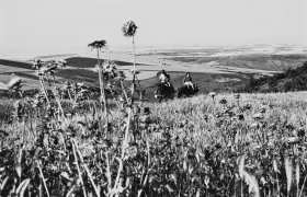 Italia di Lucania