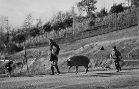 Italia di Lucania