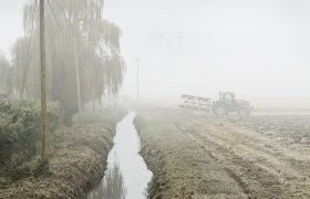 Riso, i segni del lavoro - 2005/2009 - <p>Campagna fotografica sulle province risicole italiane promossa da Promoriso.</p>
<p>Libro - <em>IL RISO, territorio, cultura, lavoro -</em> a cura di Giorgio G. Negri, fotografie di Francesco Radino, Mario Finotti, Vittorio Fossati, Diabasis, 2007.</p>
<p>Vedi anche in VIDEO</p>